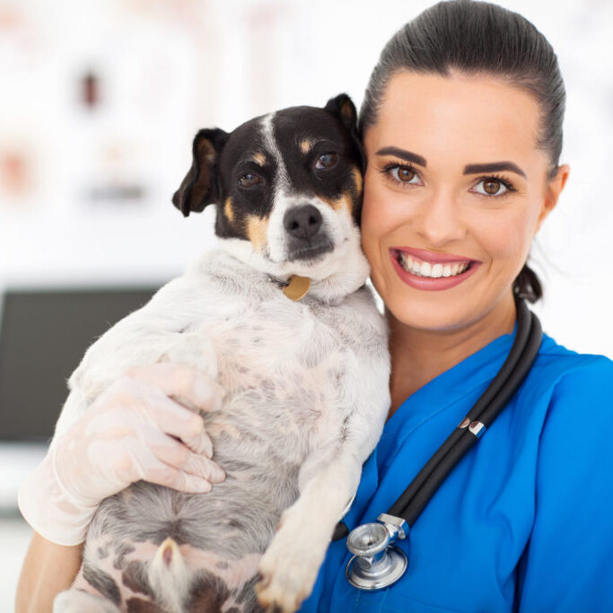 Australian Canine Rehabilitation Conference October 2018